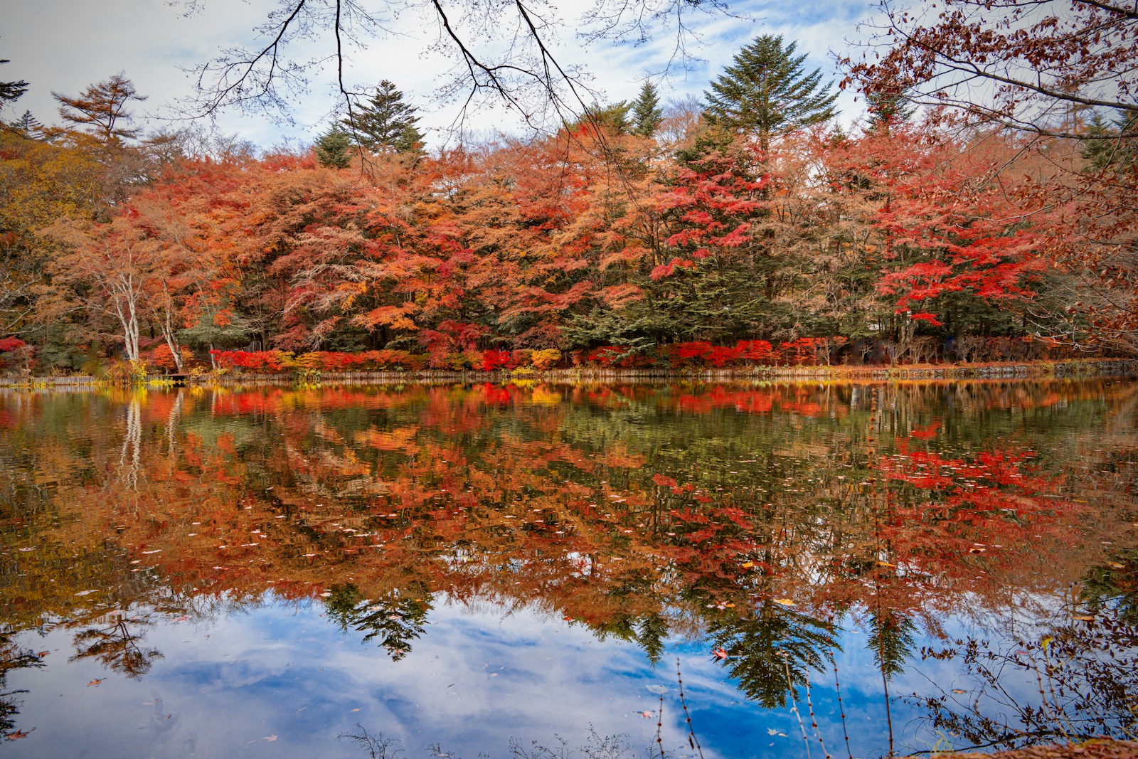 湖に映る紅葉した木々