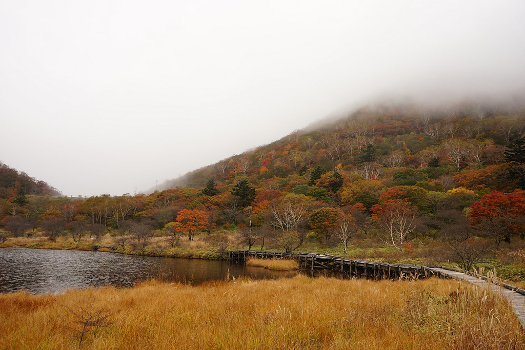 幻想的な雰囲気の紅葉の赤城山