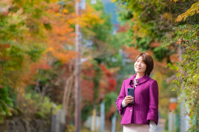 秋の美しさを楽しむ神奈川観光