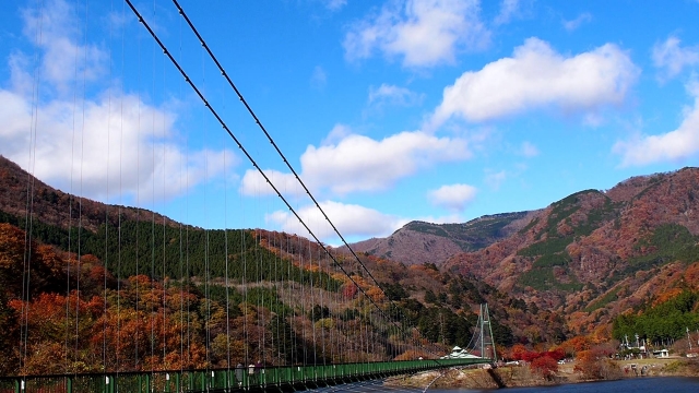 全長320メートルを誇る日本最大級の吊橋・もみじ谷大吊橋