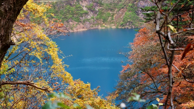 コントラストが美しい紅葉の奥四万湖