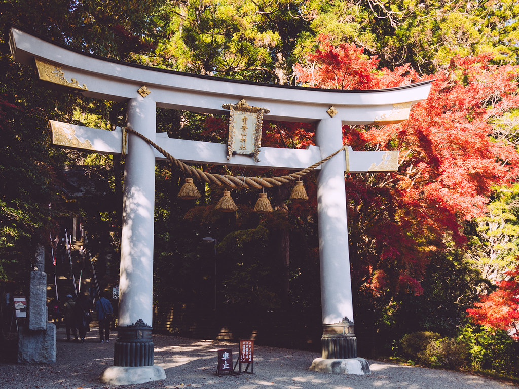 11月に紅葉が見ごろを迎えた宝登山神社