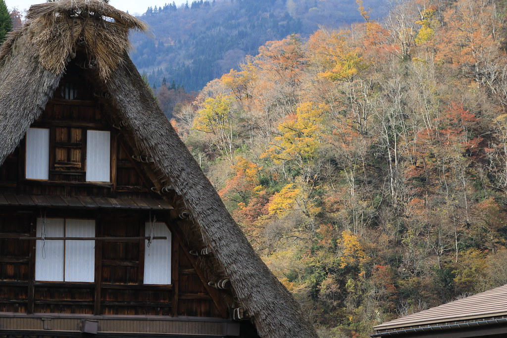 合掌造り集落と紅葉が美しい五箇山