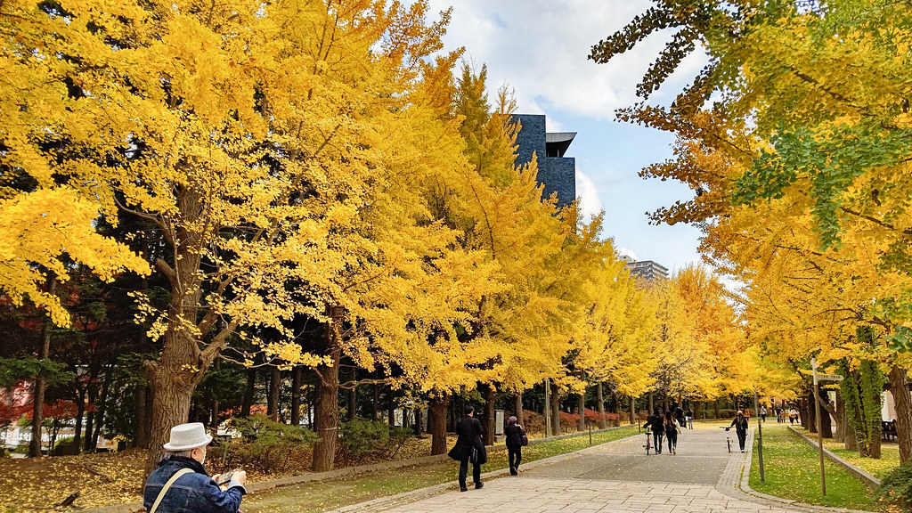 紅葉が美しい11月の中島公園