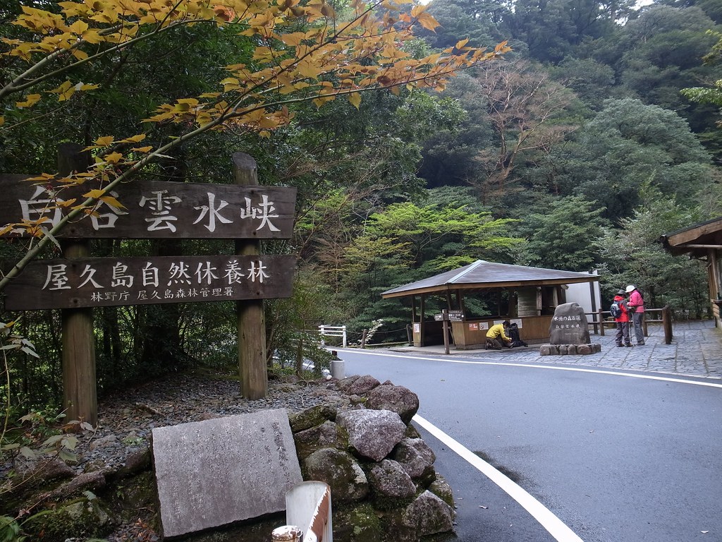 幻想的な風景が広がるスポット、白谷雲水峡の案内看板(屋久島)