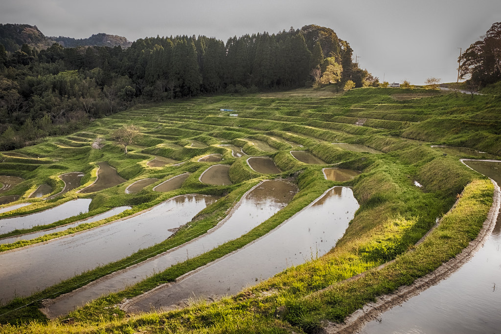 四季折々の風景を楽しめる大山千枚田