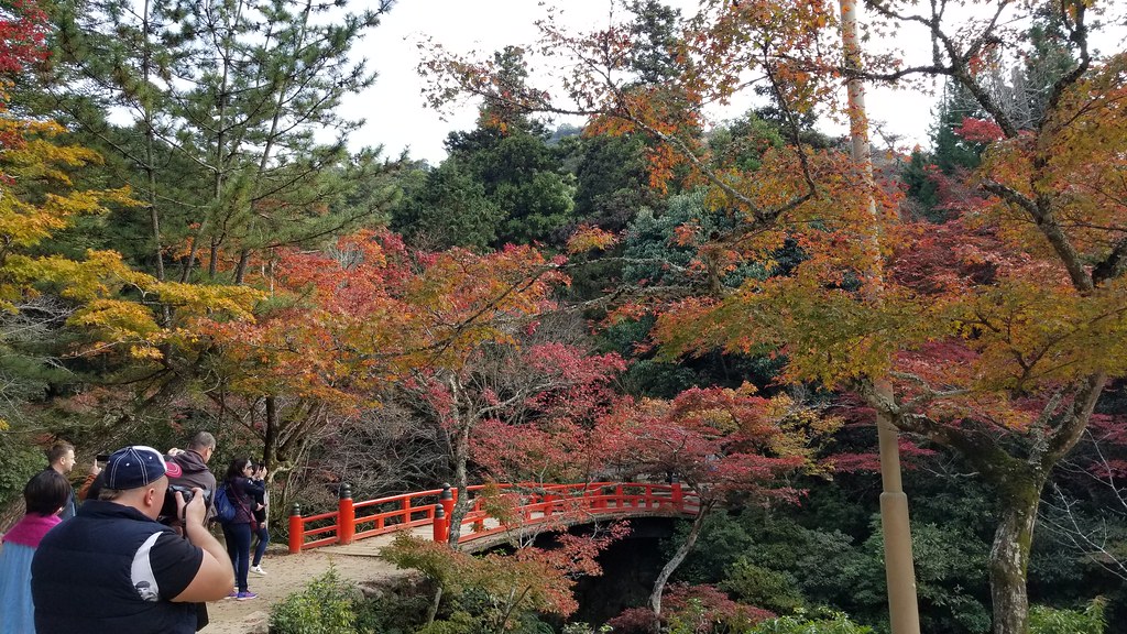 紅葉が美しい宮島　紅葉谷公園