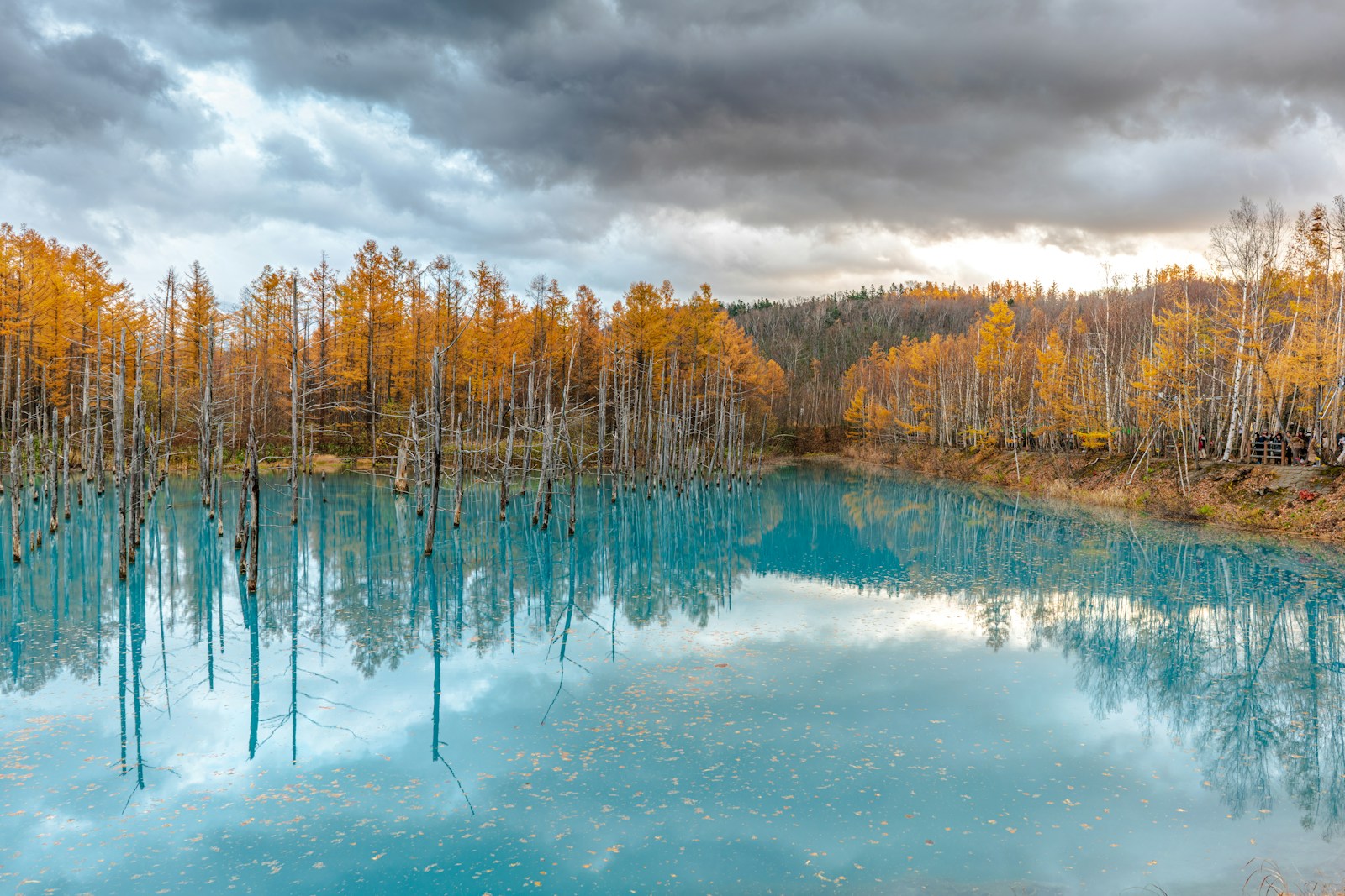 view photography of blue lake and brown trees under cloudy sky