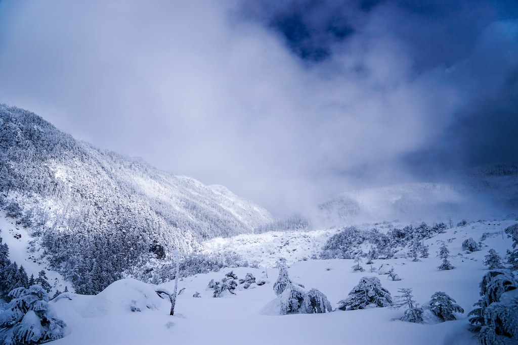 北八ヶ岳の雪景色の様子