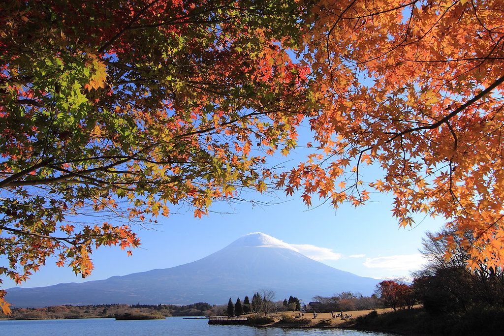 紅葉の田貫湖と富士山