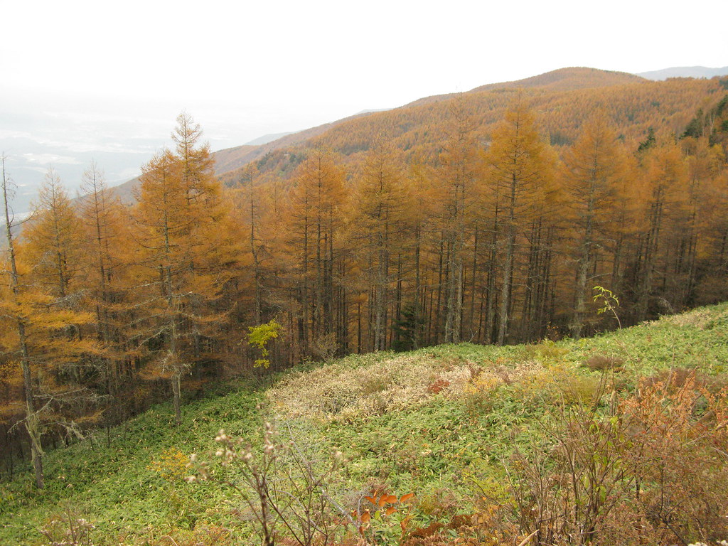 絶景が広がる入笠山