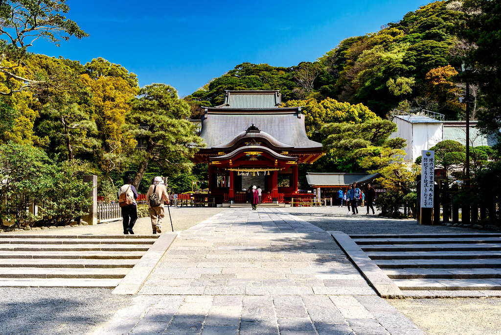 青空の下で紅葉が美しい鶴岡八幡宮