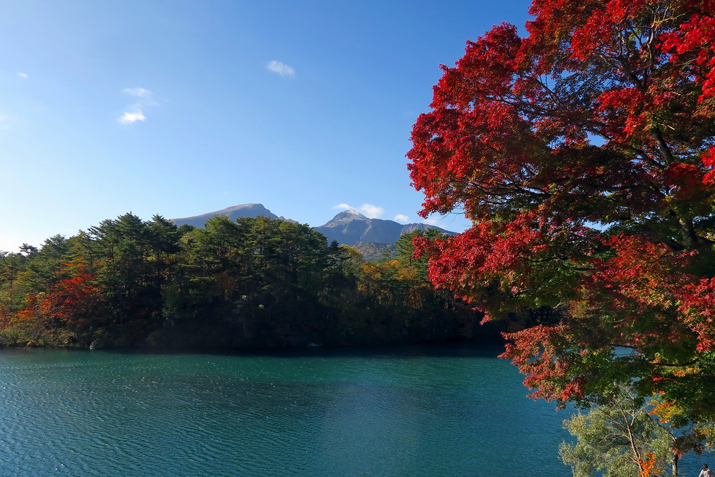 紅葉が美しい11月の五色沼自然探勝路