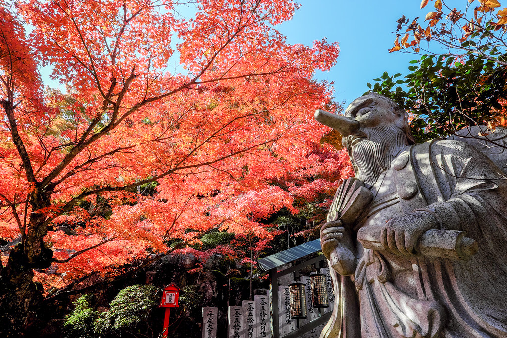 大聖院の境内を彩る紅葉