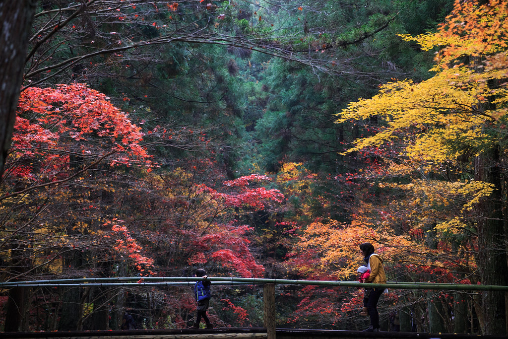 紅葉が美しい小國神社