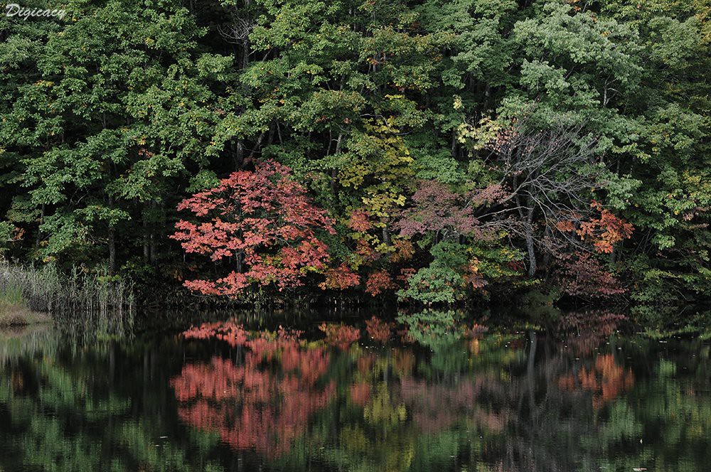 裏磐梯の中でも特に美しい紅葉スポット・曲沢沼