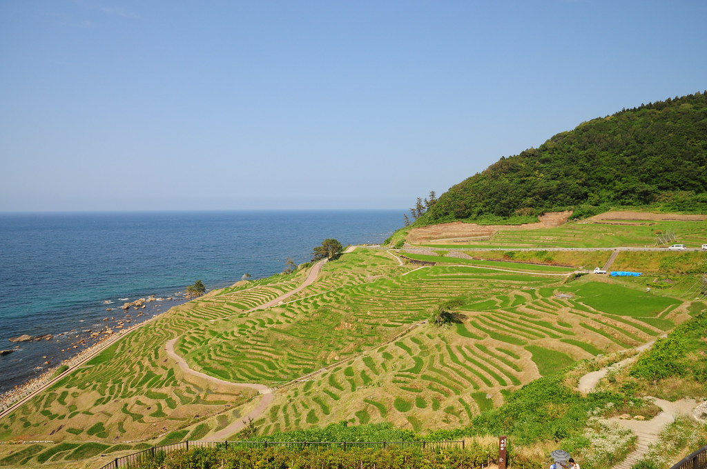 能登半島の美しい絶景スポット・白米千枚田