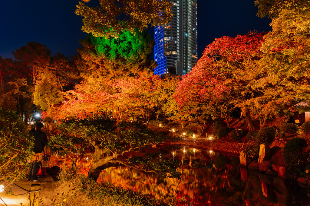 ライトアップされた縮景園