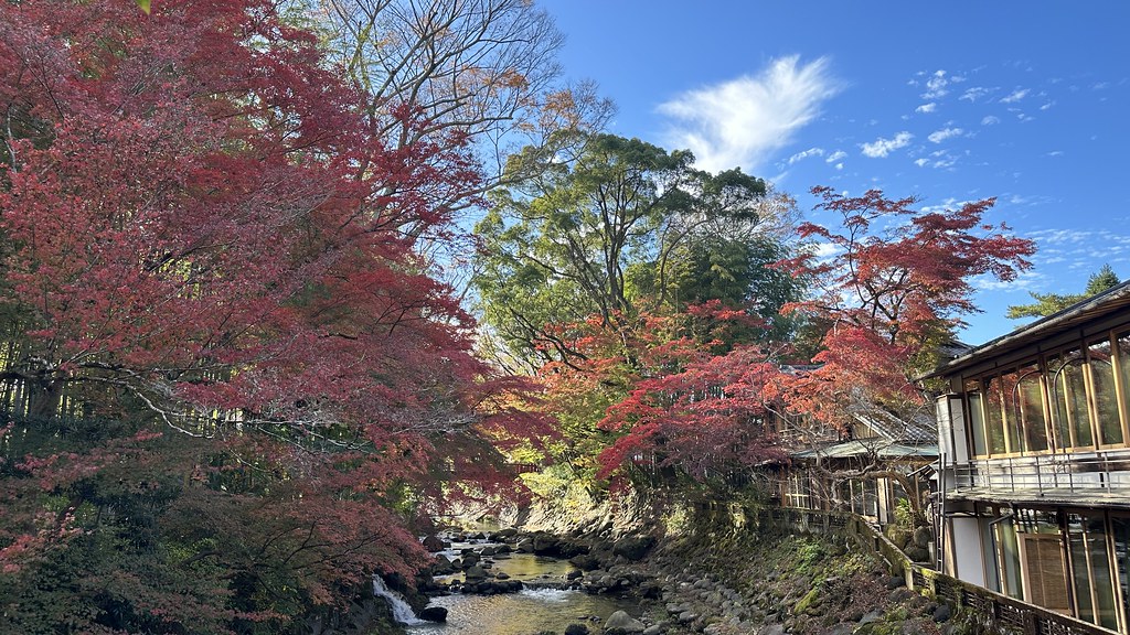 落ち着いた雰囲気の修善寺温泉