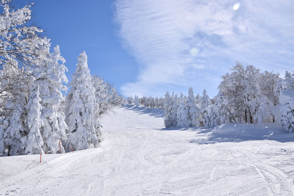 山形の冬の絶景スポット・蔵王スキー場の樹氷