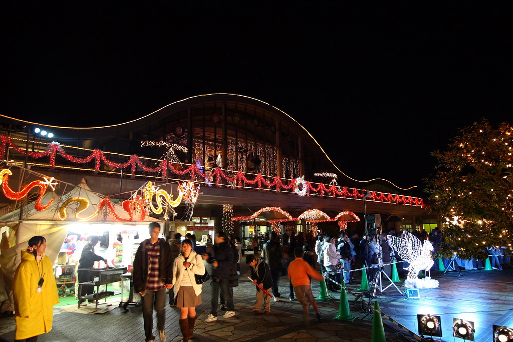 12月にはイルミネーションが園内を彩り、幻想的な雰囲気を楽しむことができるフローランテ宮崎