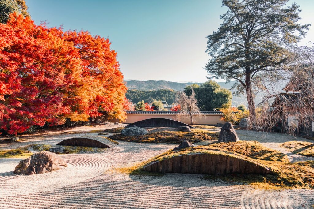 京都の紅葉スポット