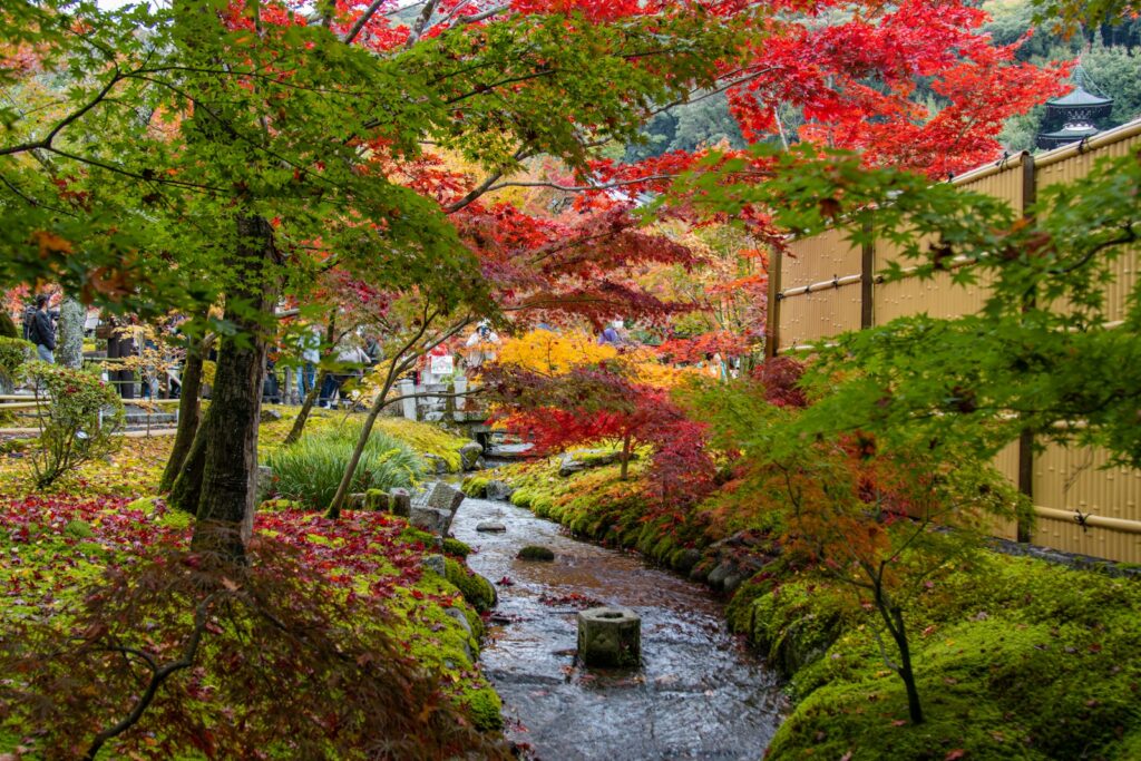 紅葉と小川