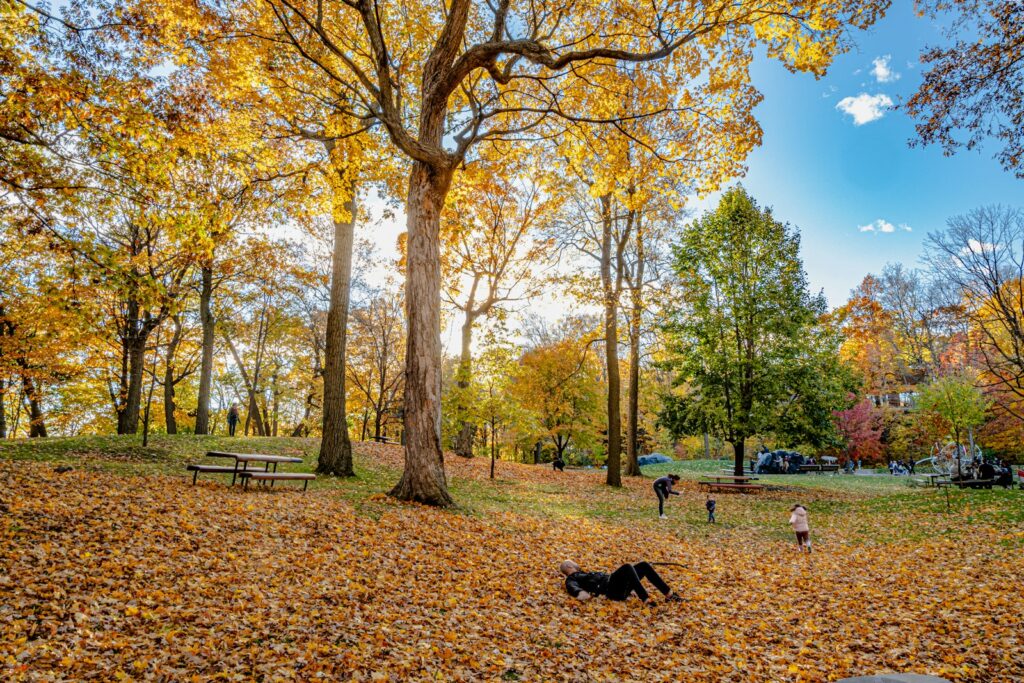 10月紅葉を迎えたカナダの公園