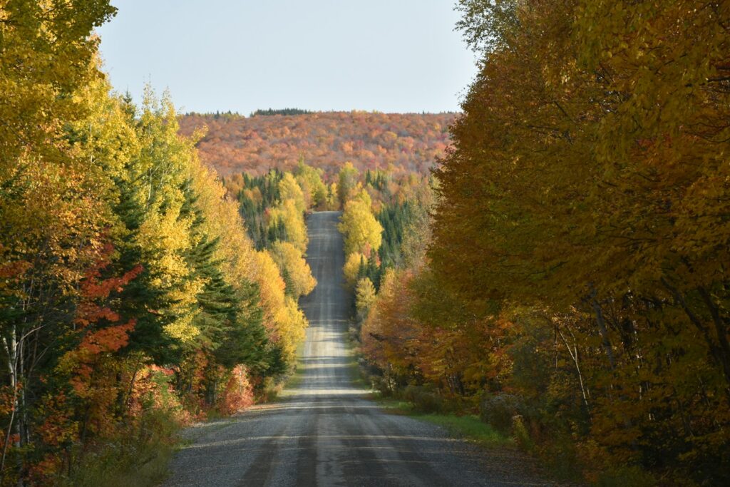 カナダの紅葉スポットであるメープル街道