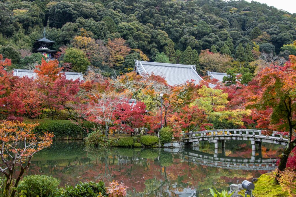 永観堂の紅葉