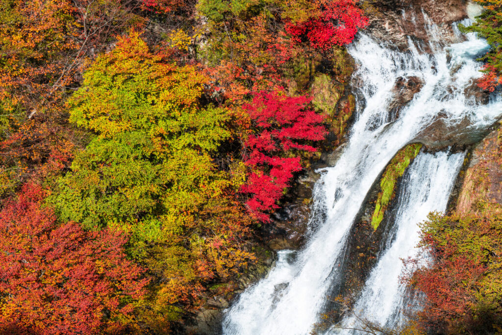 紅葉の時期の霧降ノ滝