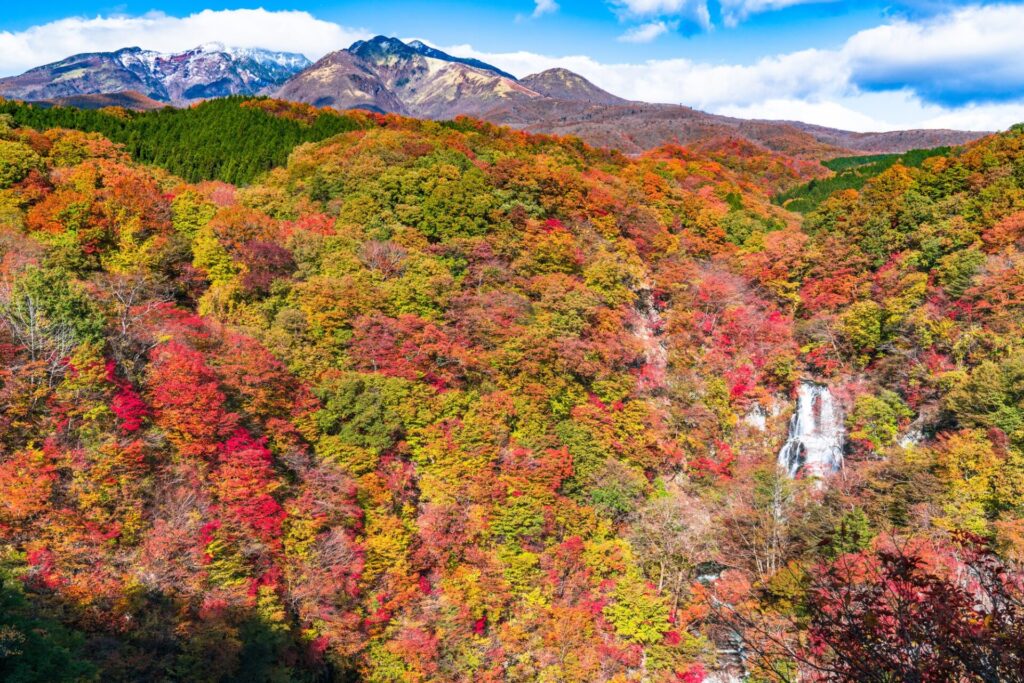 日光の紅葉シーズンおすすめスポット霧降高原