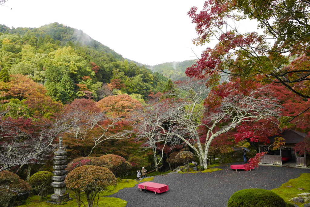 京都の白龍園　秋の特別公開での紅葉