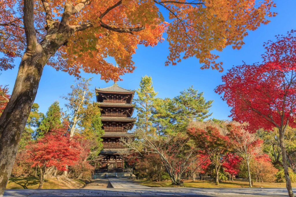 京都の寺社と紅葉