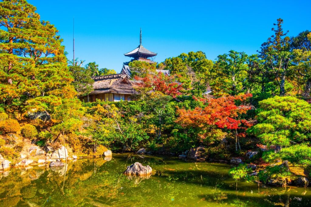 仁和寺の池