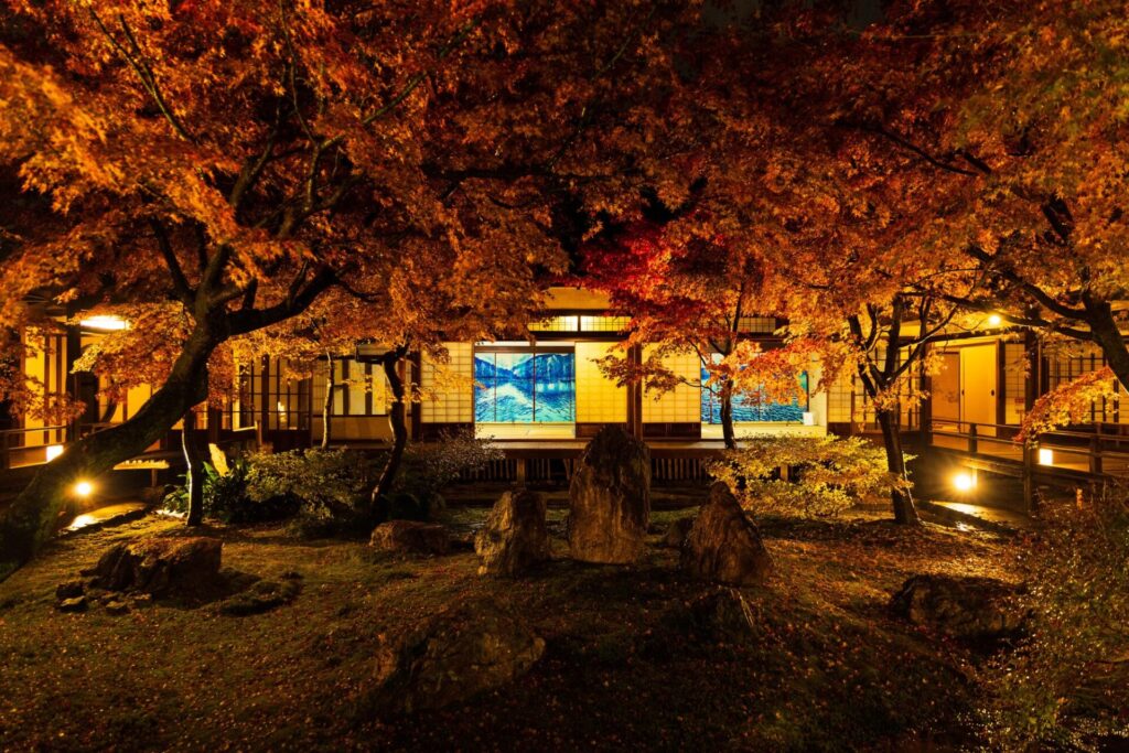 京都夜間の紅葉ライトアップ