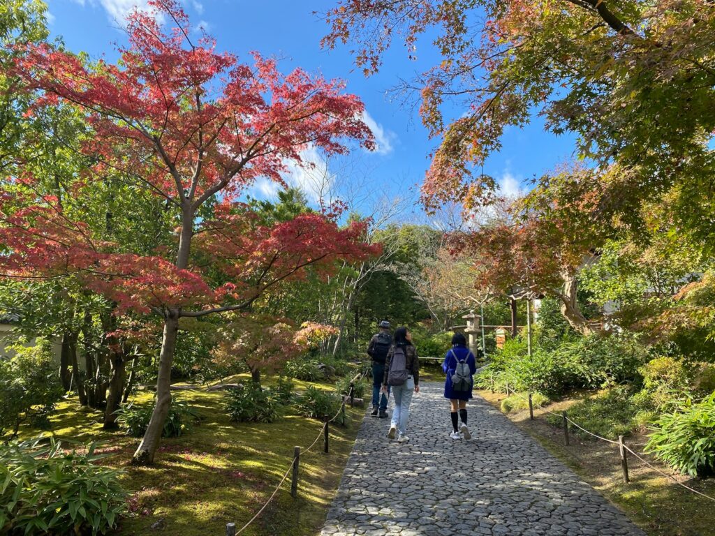 紅葉が美しい庭園