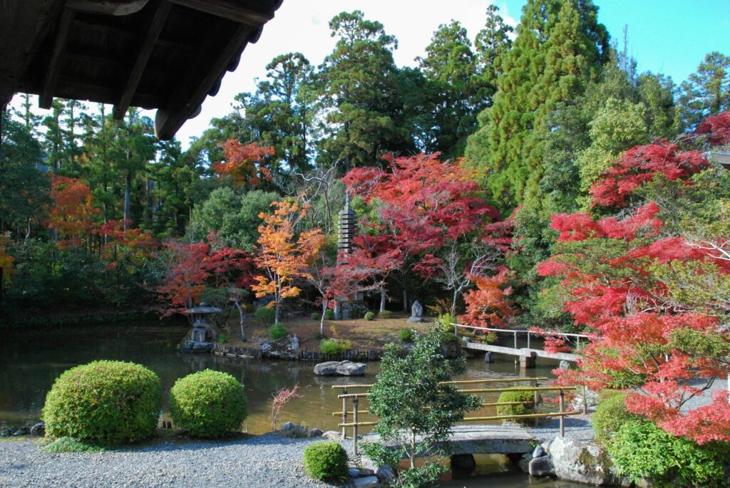 秋色に色ずく寺の庭