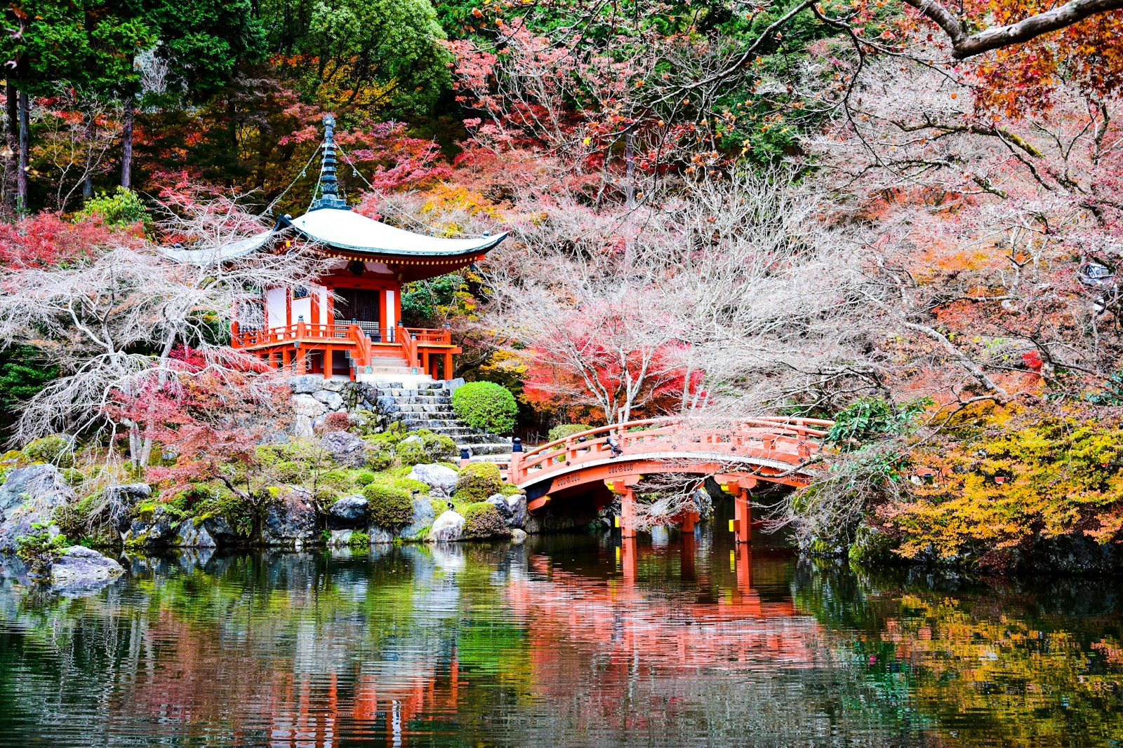 醍醐寺の紅葉の景色