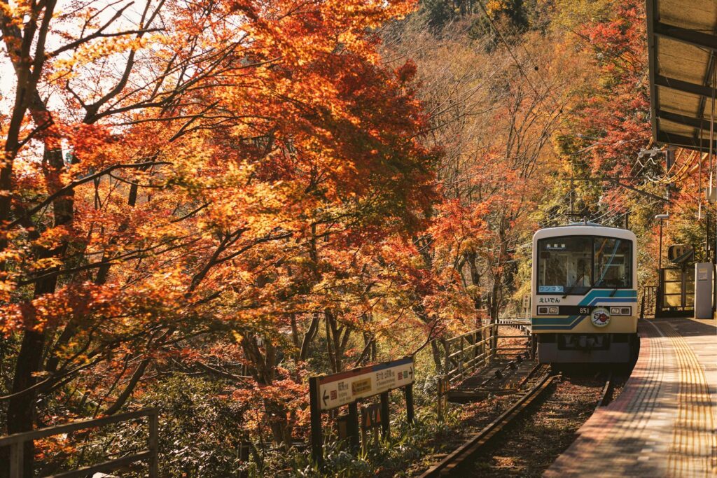 京都の紅葉と電車