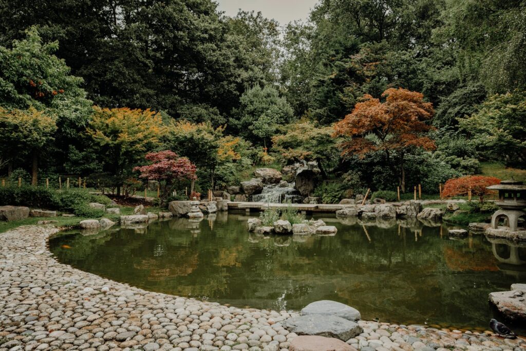 池を有する庭園と紅葉が楽しめる場所