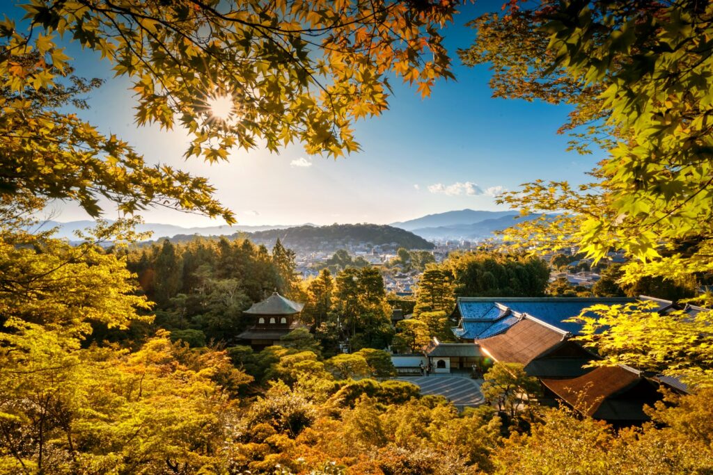 京都の紅葉名所