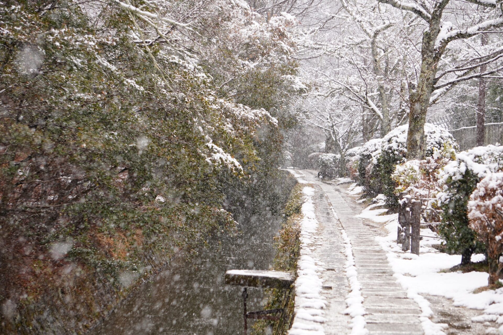 哲学の道の雪景色