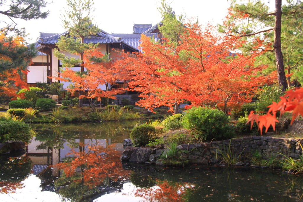 紅葉が美しい京都の等持院