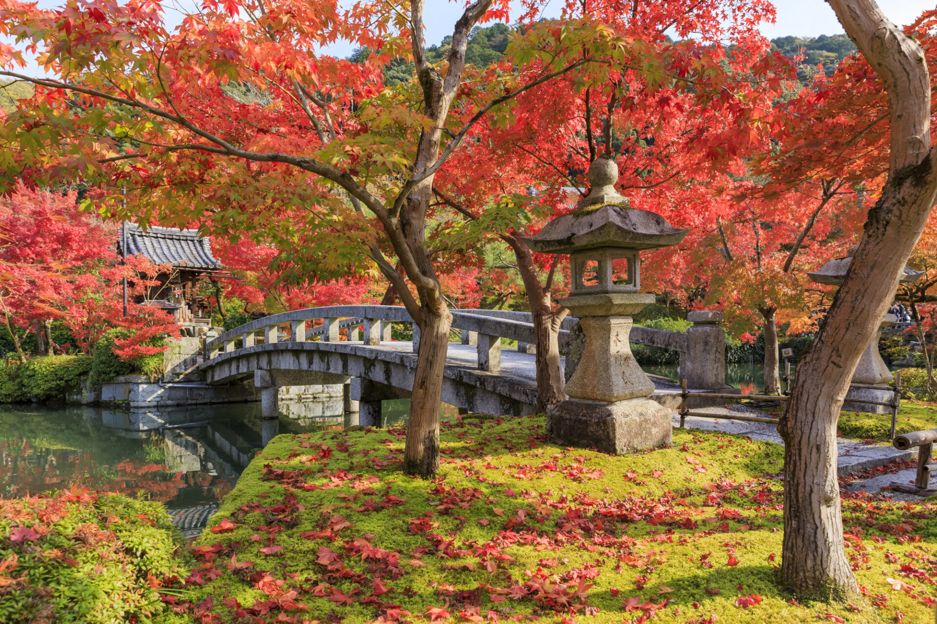 永観堂の紅葉