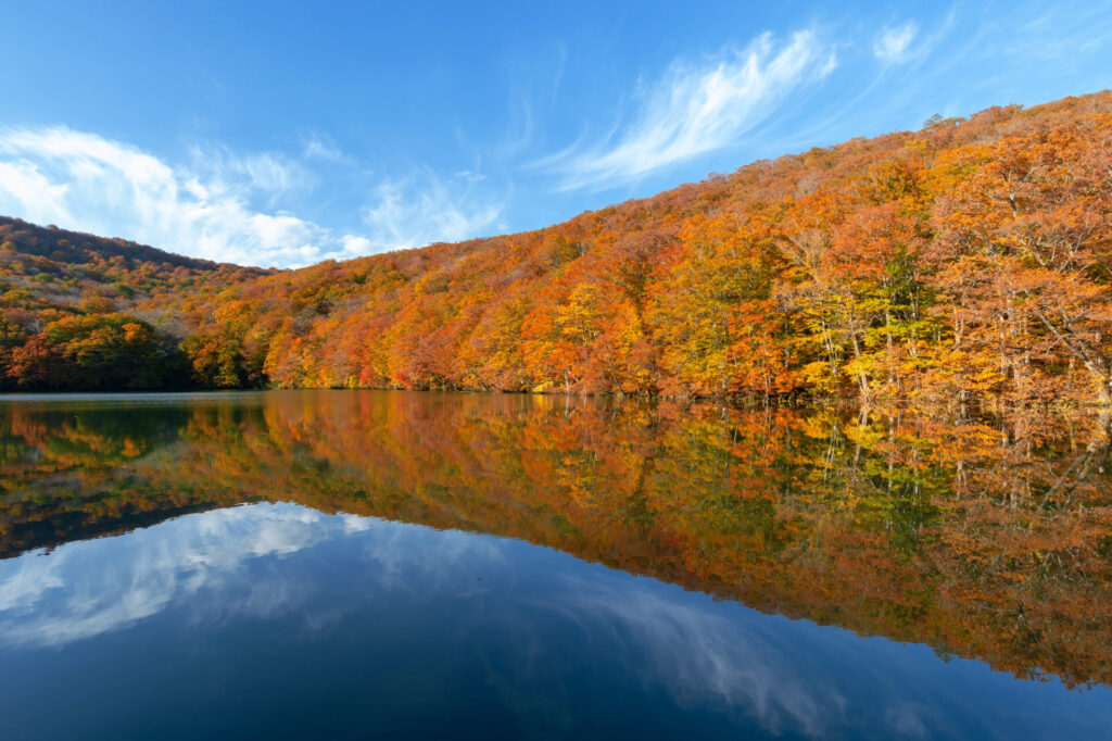 青森にある蔦沼の紅葉