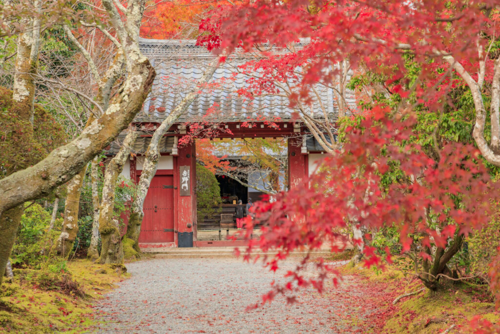 紅葉が美しい常照寺