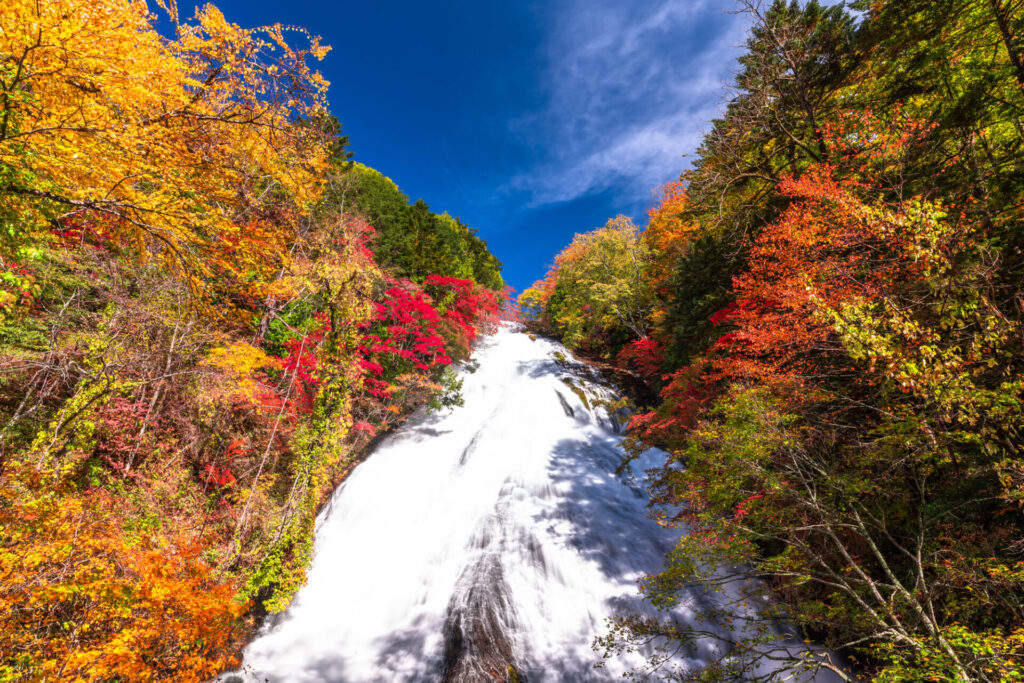 紅葉が美しい湯滝