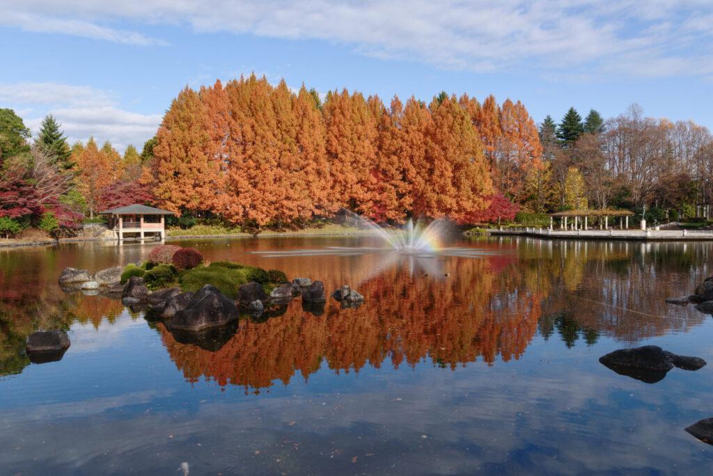 栃木県中央公園の紅葉