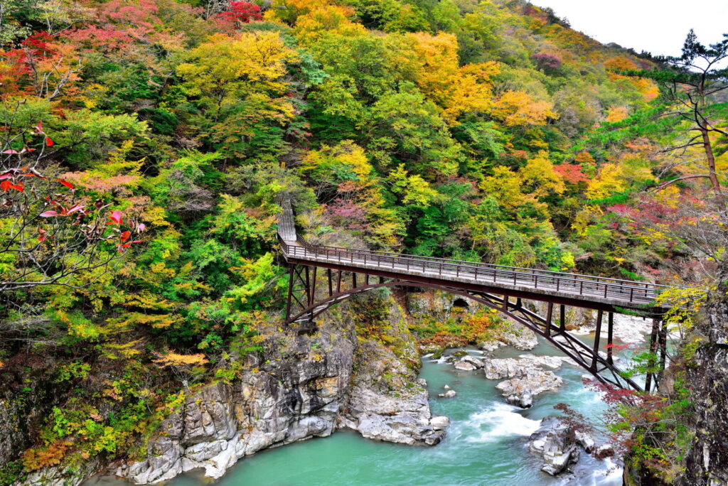 龍王峡の美しい紅葉と渓谷